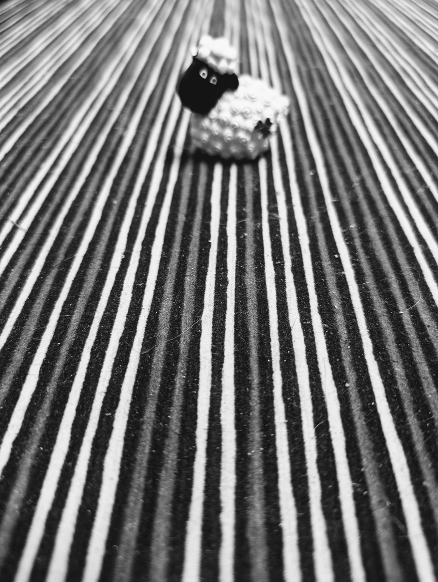 Hidden Mary's little lamb