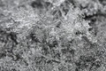 Snow On Ice