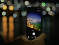 Harbour Lights