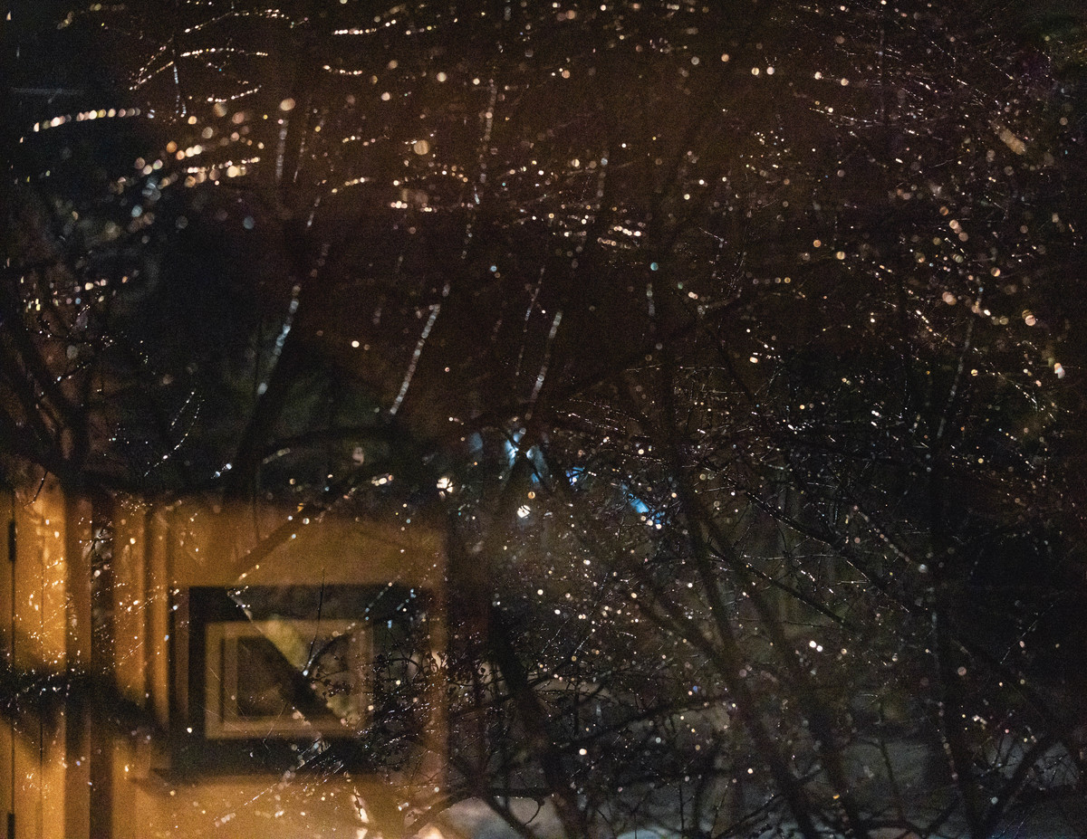 Where Light Lingers 
