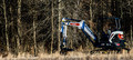 A Bobcat Hunts the Treeline in the Late Afternoon Sun