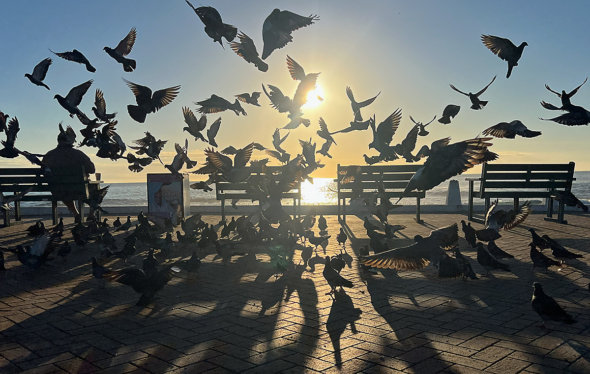 Fight-or-flight