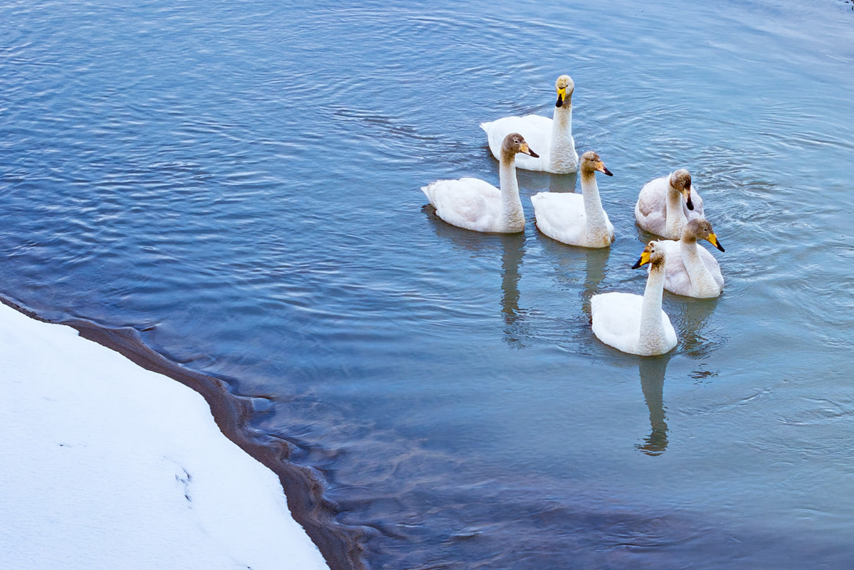 Together in the winter