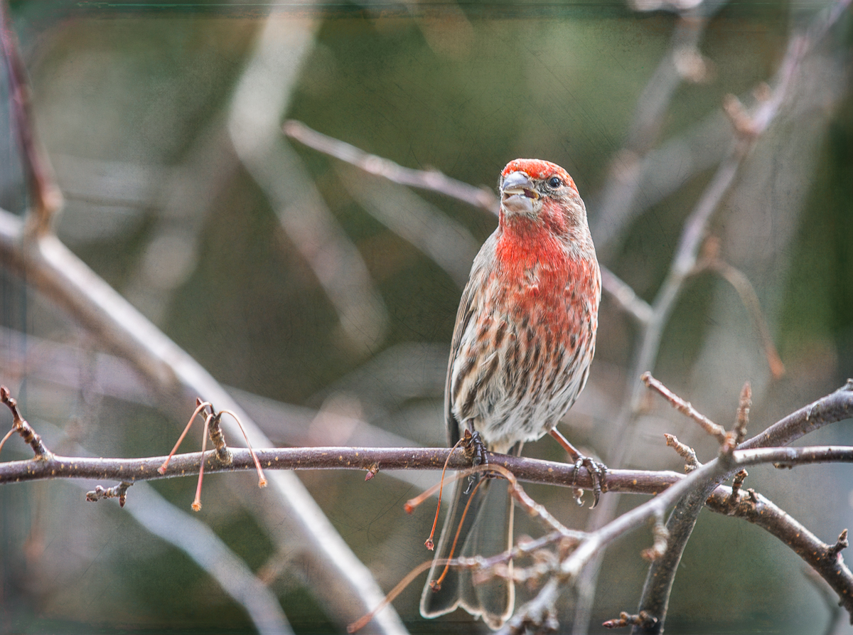 my dad’s kind of morning