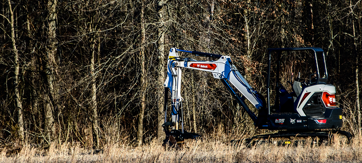 A Bobcat Hunts the Treeline in the Late Afternoon Sun