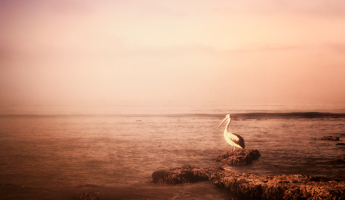 Standing alone
