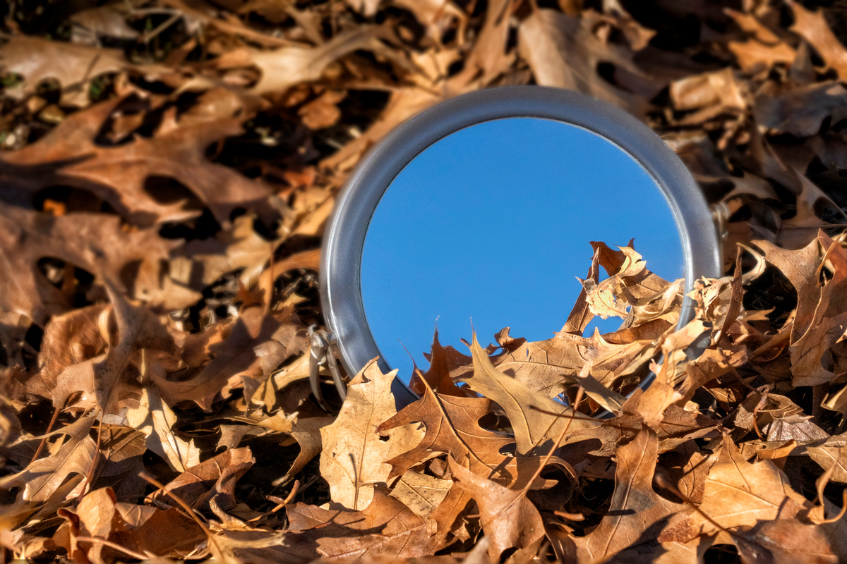 What Chicken Little Saw