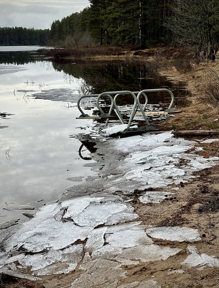 Has the ice receded yet this year? 