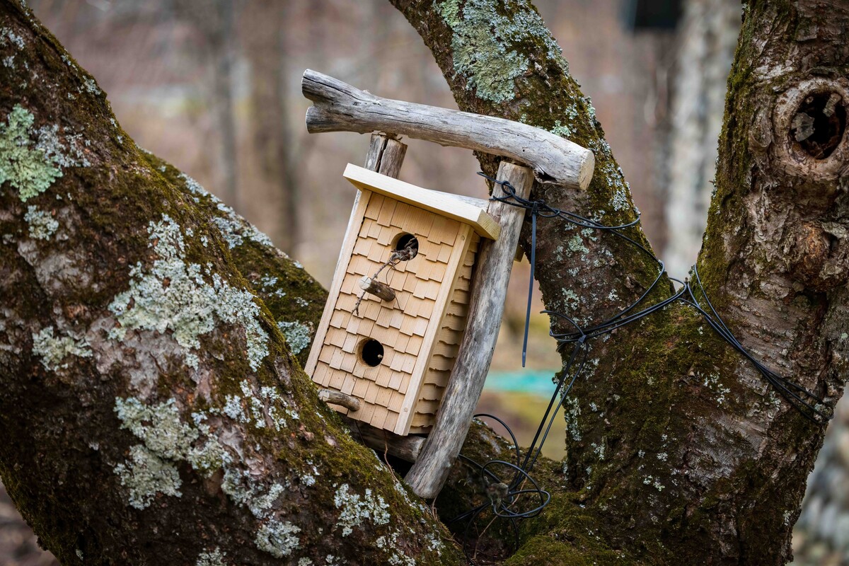 Anybody Home?