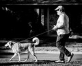 Life is better with a dog