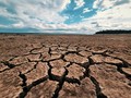 Parched Land