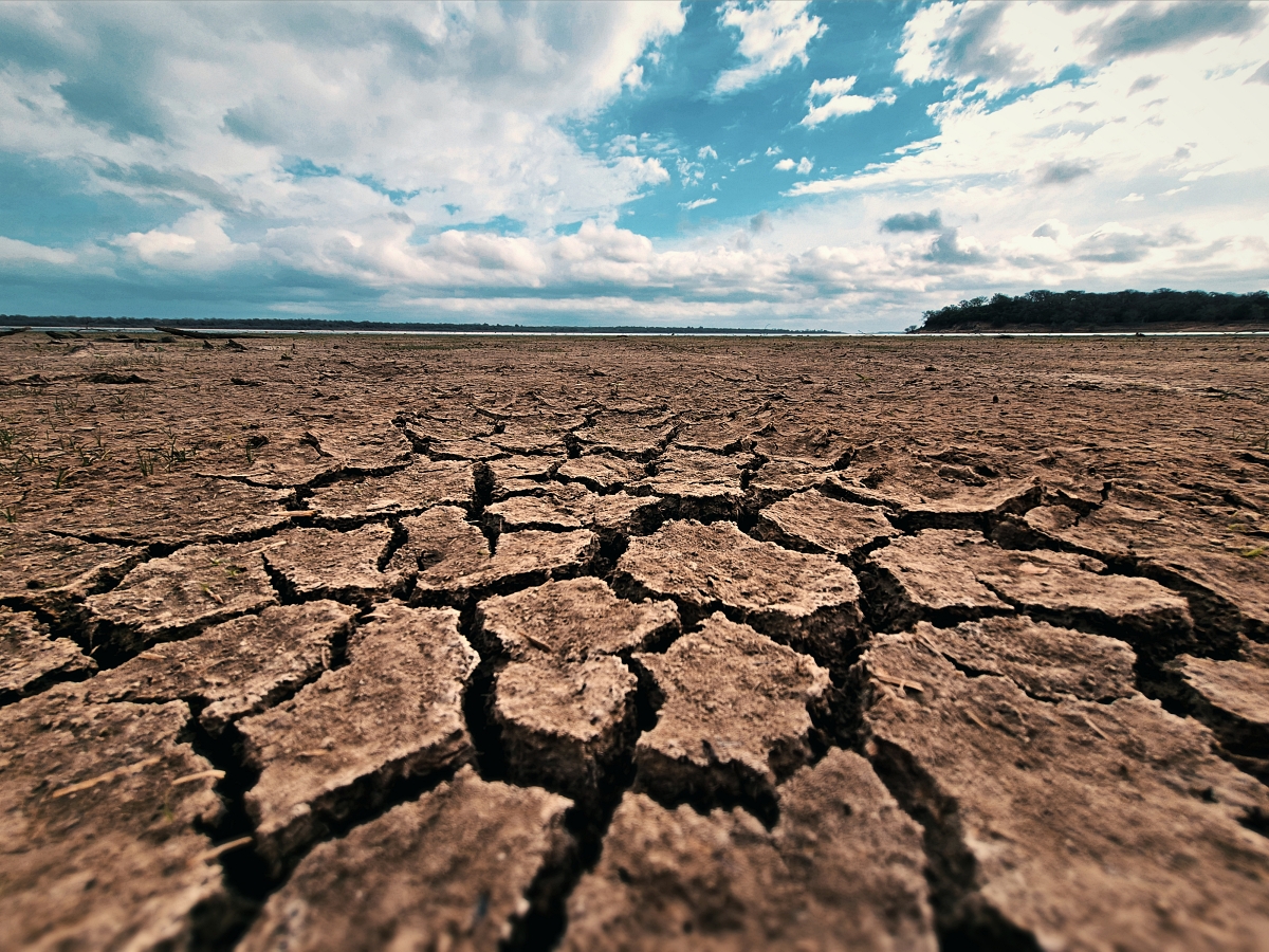 Parched Land