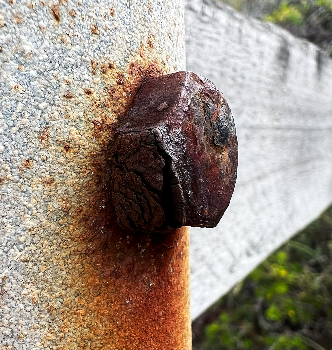 Weathered Fence
