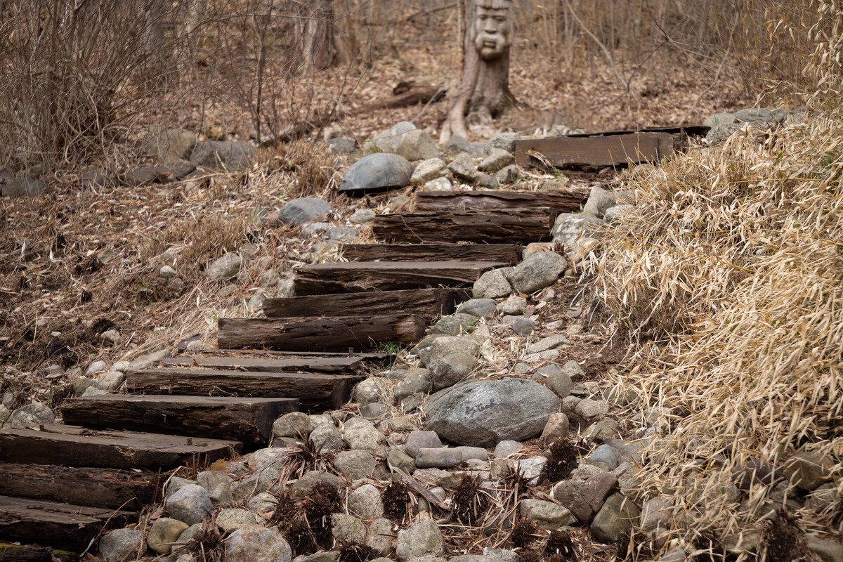 Steps Borrowed by Time