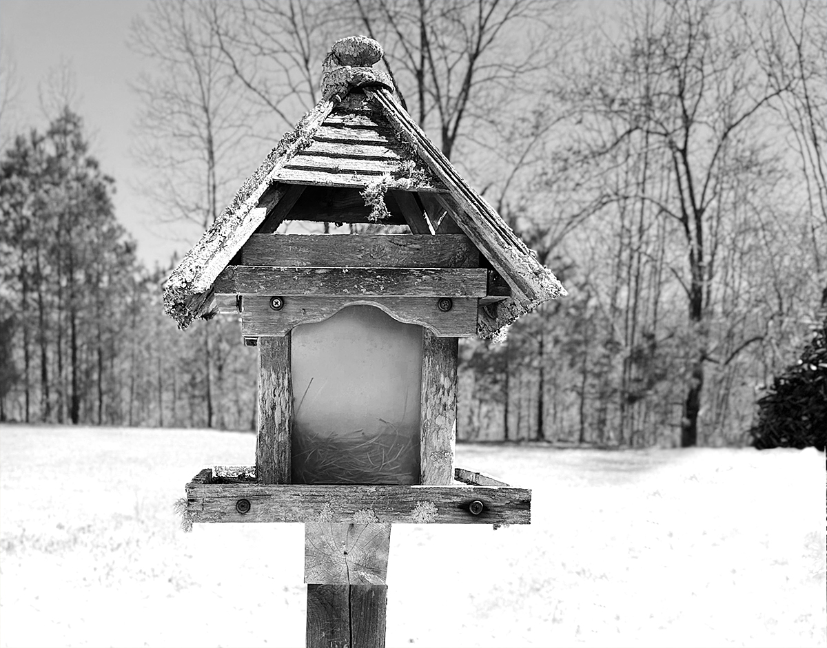 Feeding Birds... Long Ago