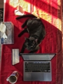 work from home