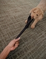 That's mine ..