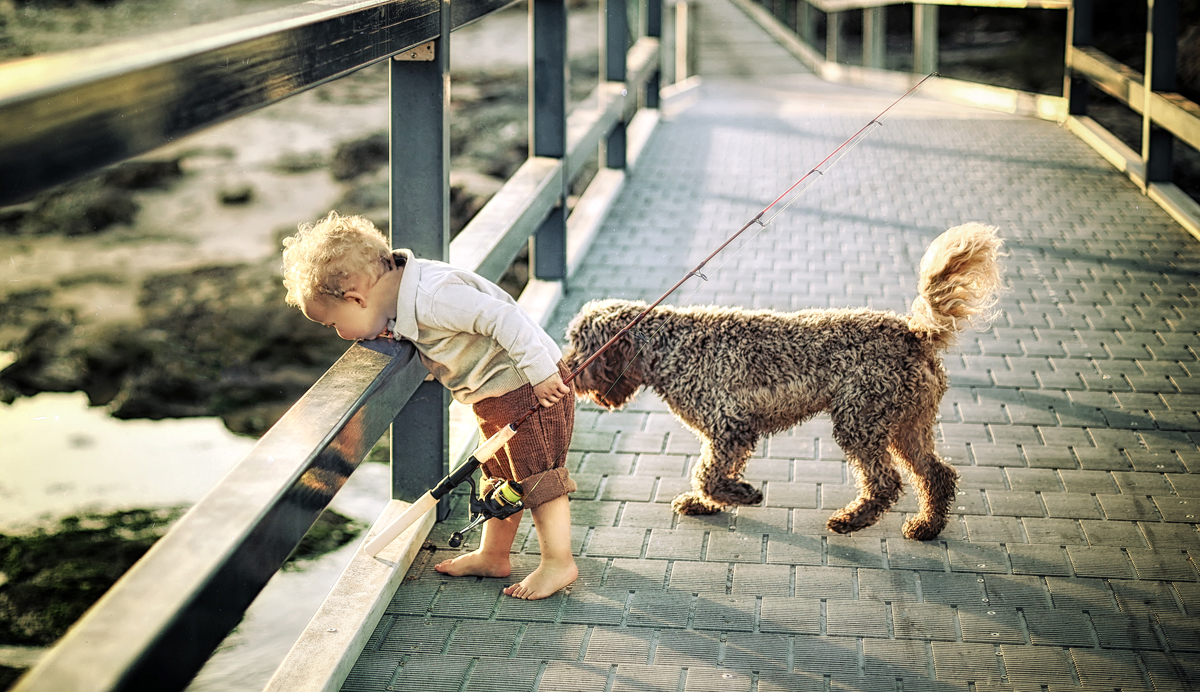 Together they roam, searching