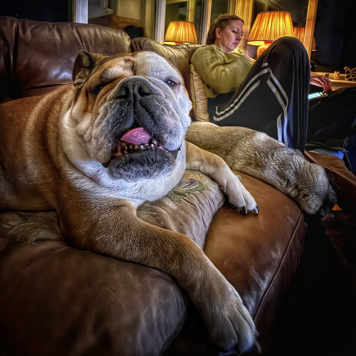 Sofa time
