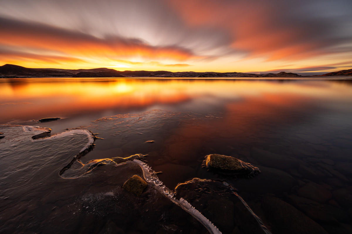 Golden Stillness