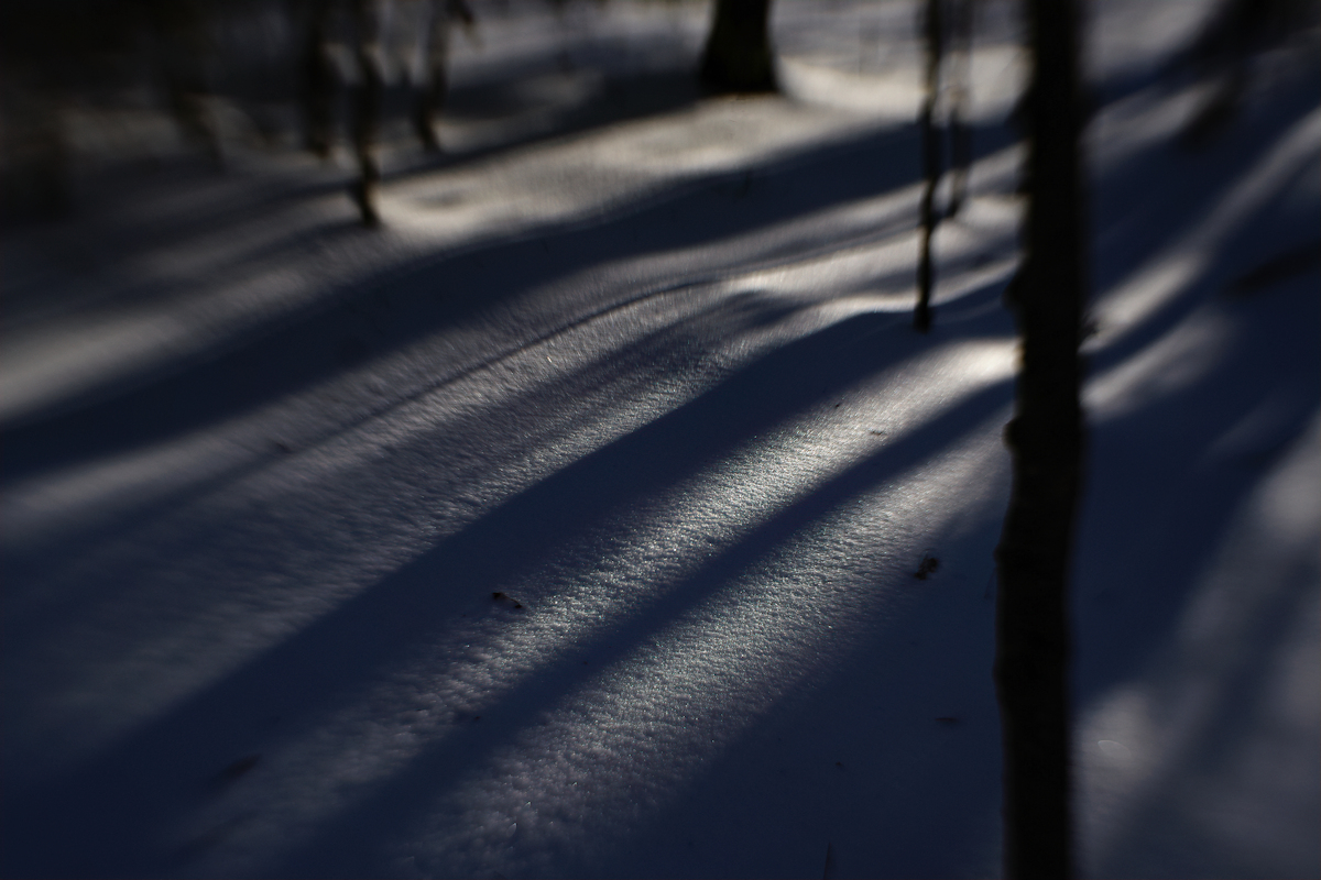 chasing the light