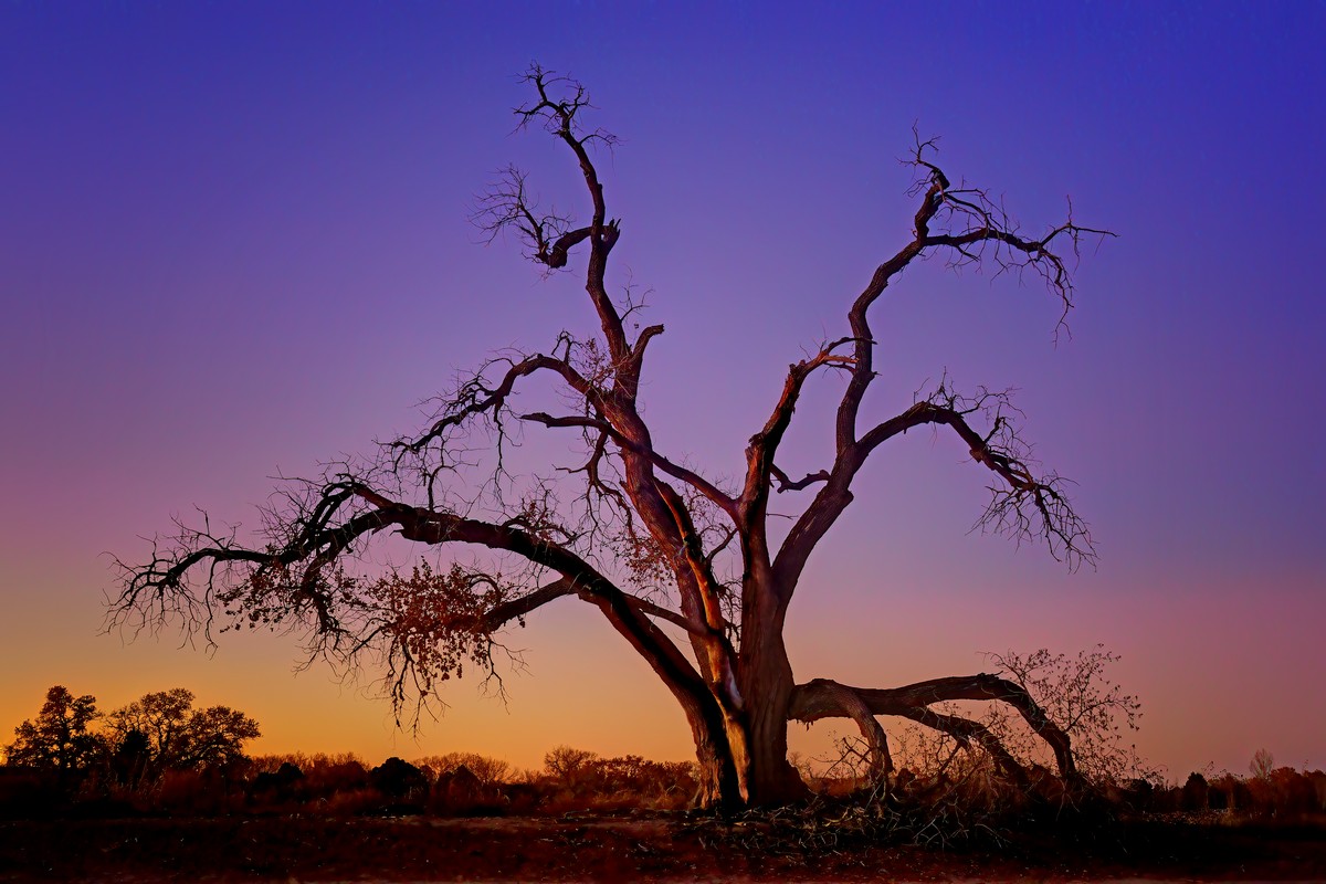 Between Night and Day