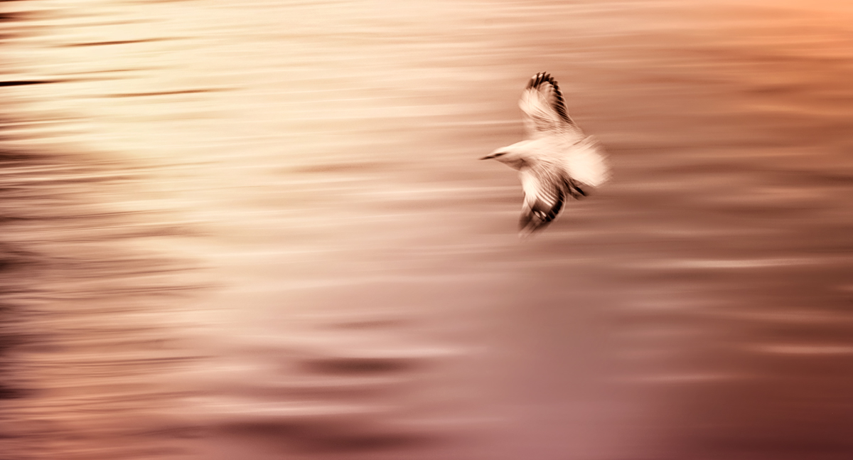 Gliding