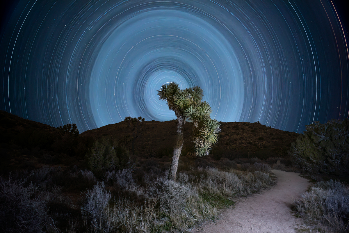 the road less traveled