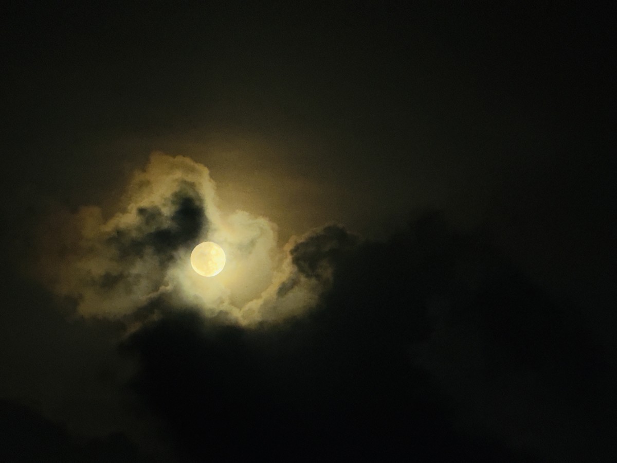 Night Haiku