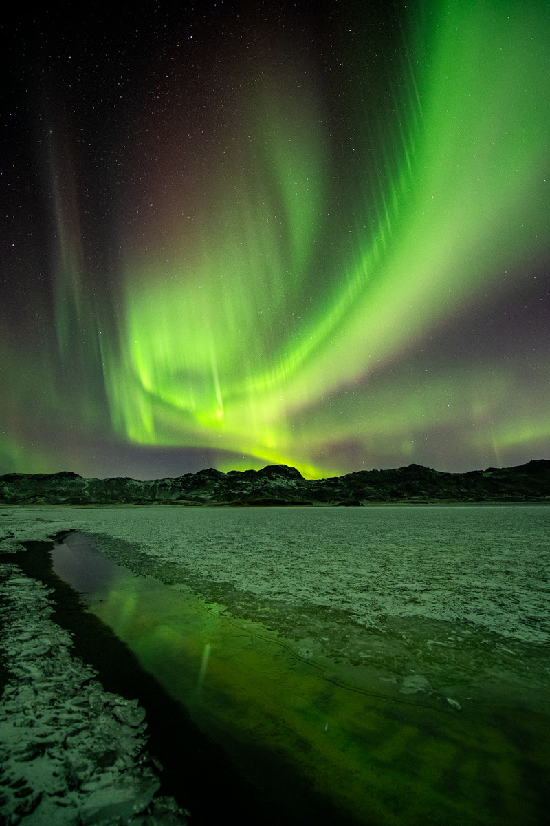 Aurora Fence