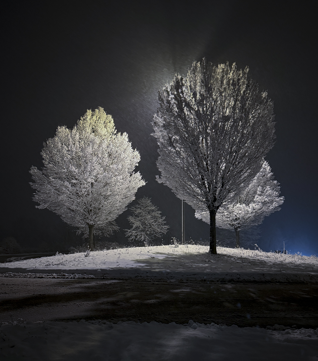 winter evening