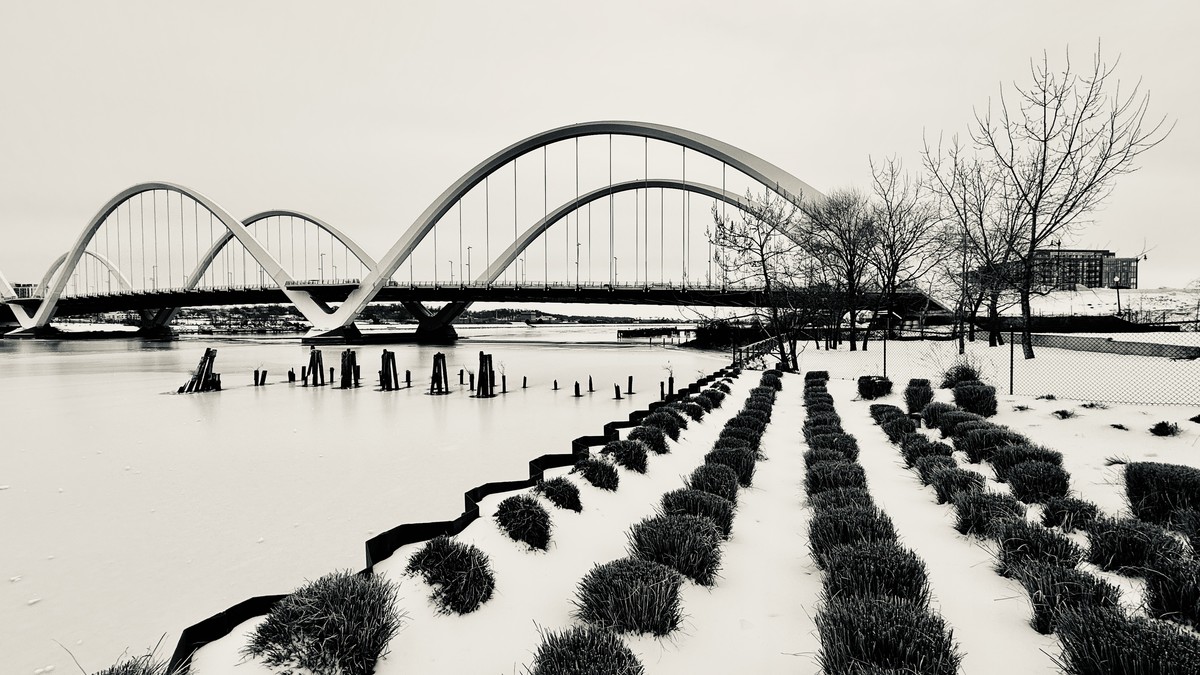Frozen