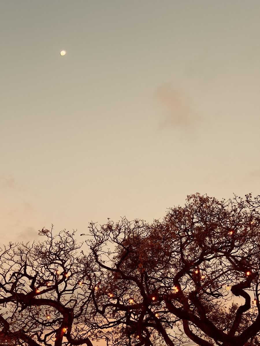 Stillness at Dusk