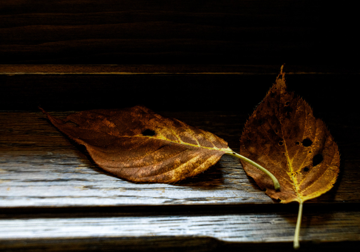Window Sill