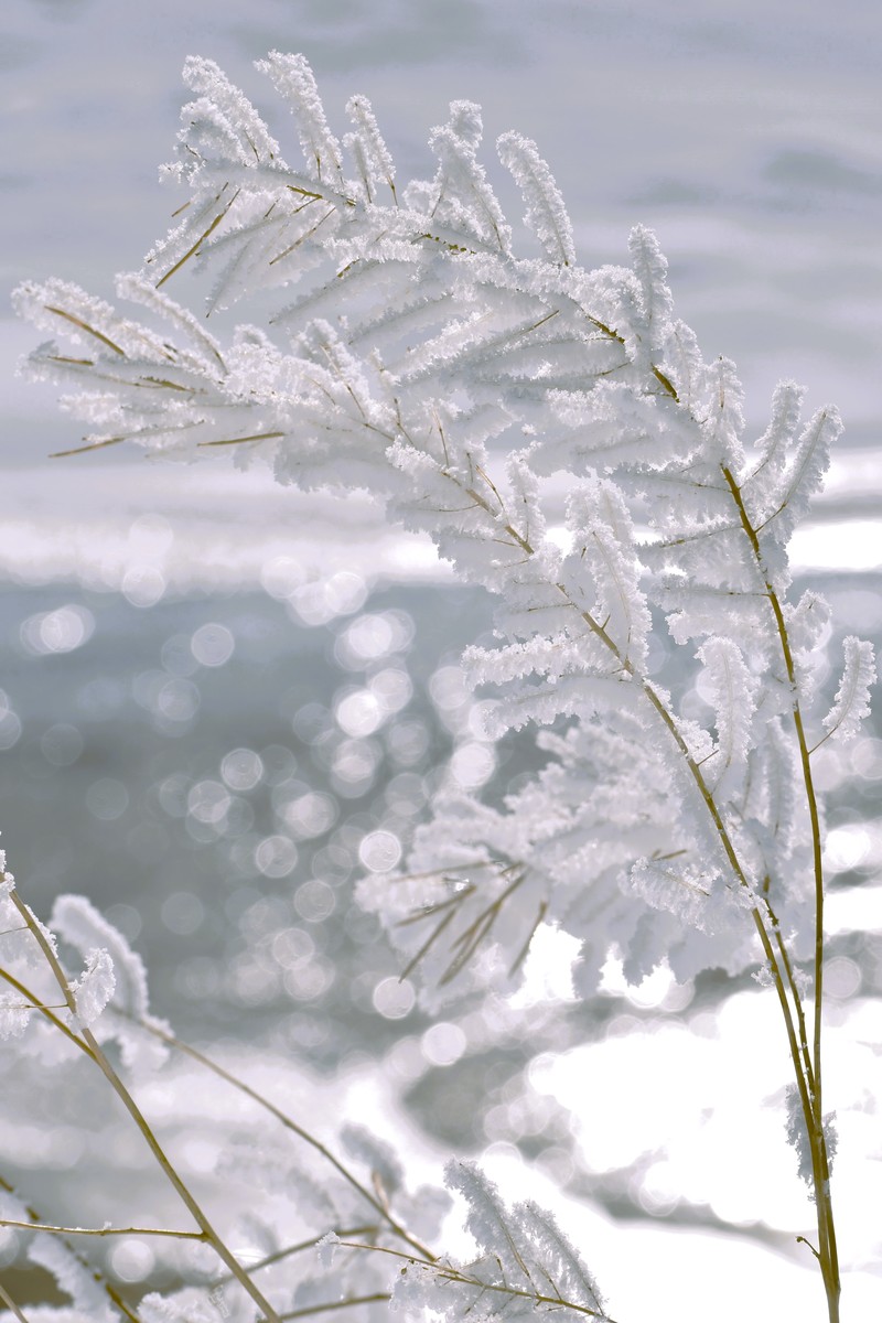 Natures Quiet Masterpiece
