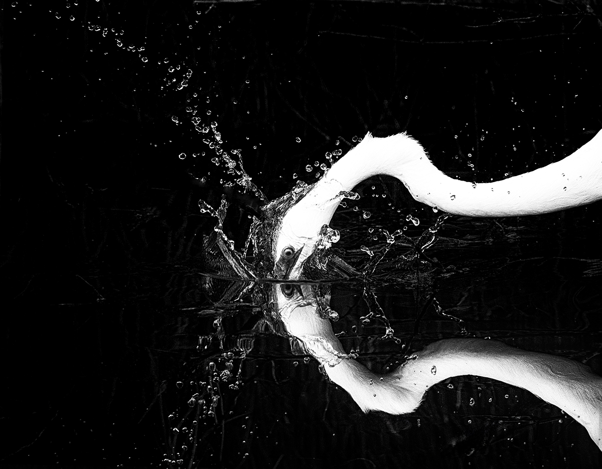 Breaking the Ice