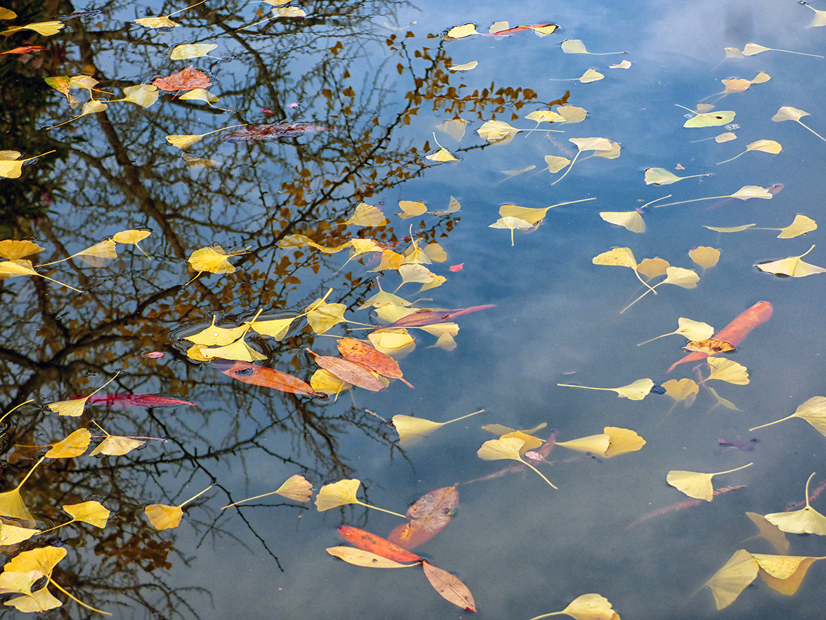 Lake