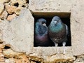 Love Should Never be Pigeonholed 