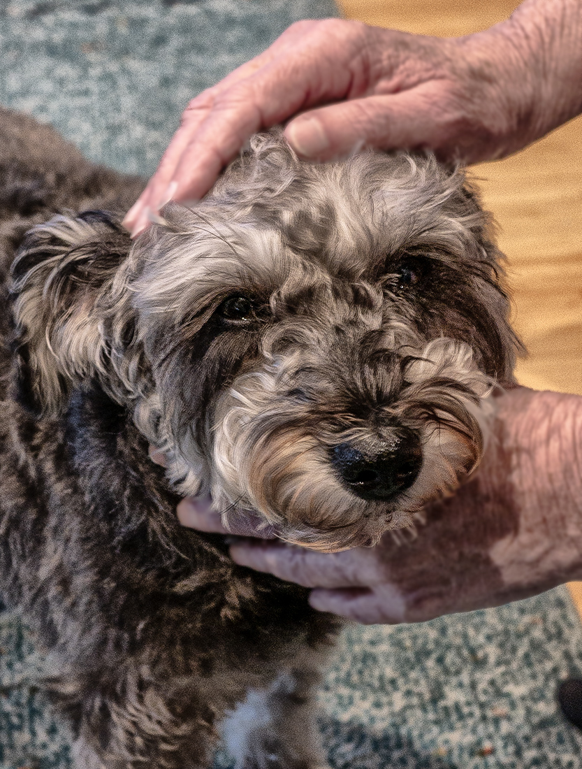 taking care of Annie