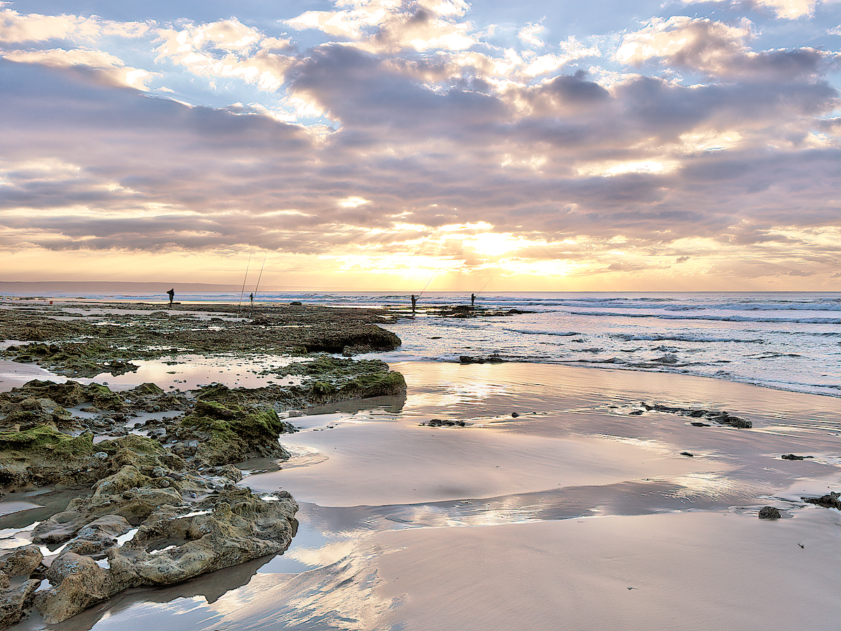 Early Morning Anglers