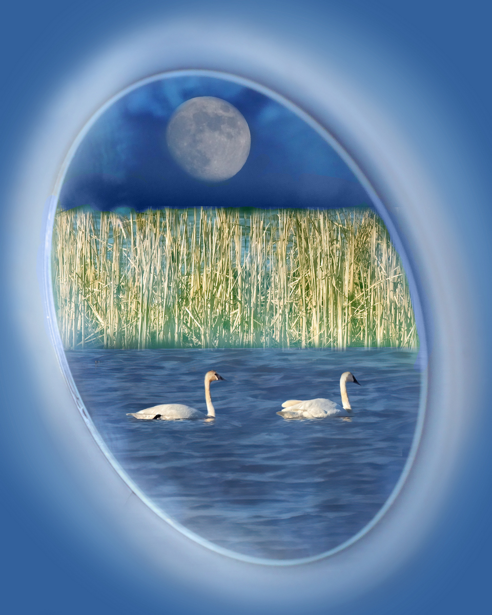 Moonlight Serenade
