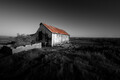 Days Gone