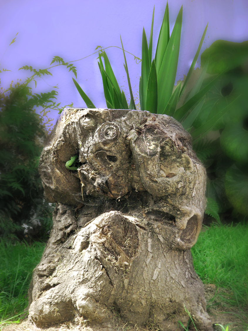 Chief Gnarly-Stump