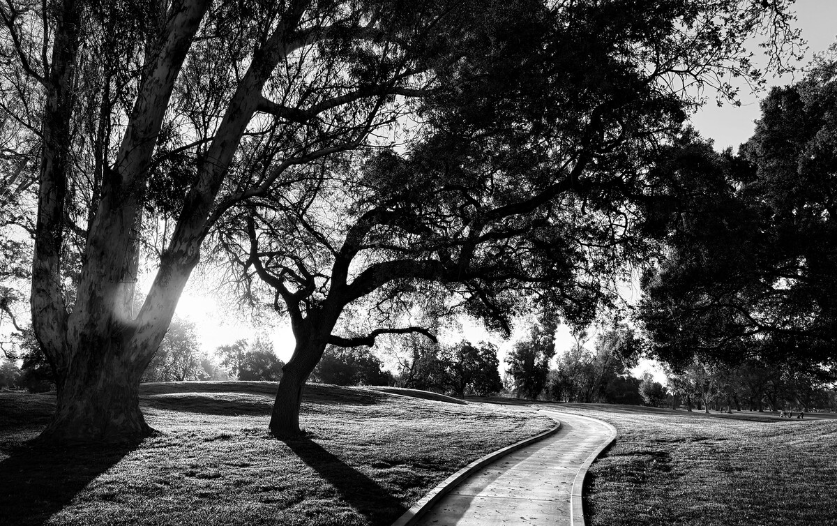 Early Morning At The Park