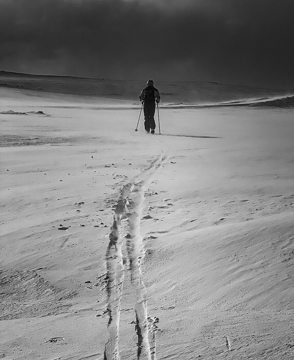 Into The Wild Winter