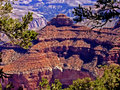 Grand Canyon View