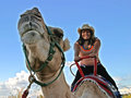 Camel