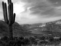 Apache-Lake