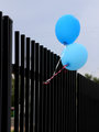 Party Balloons.jpg