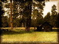 Vintage-cabin